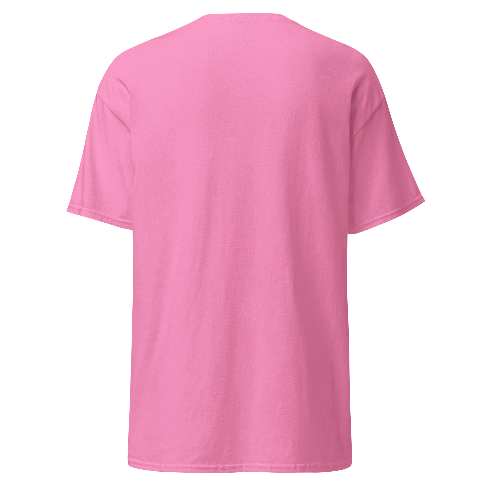 unisex-classic-tee-azalea-back-6aad74cb2dafd.jpg