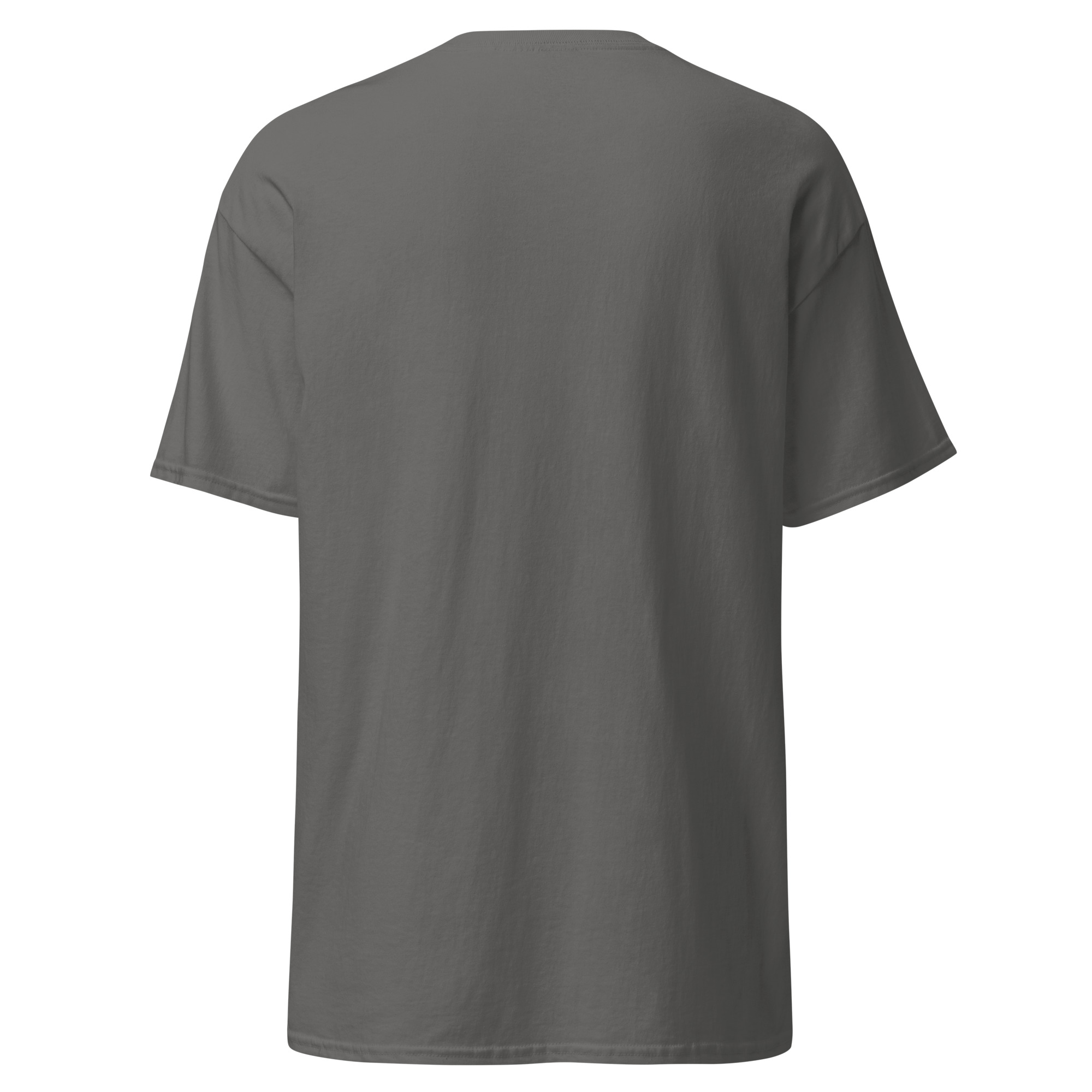 unisex-classic-tee-charcoal-back-6aad74cb2dc16.jpg